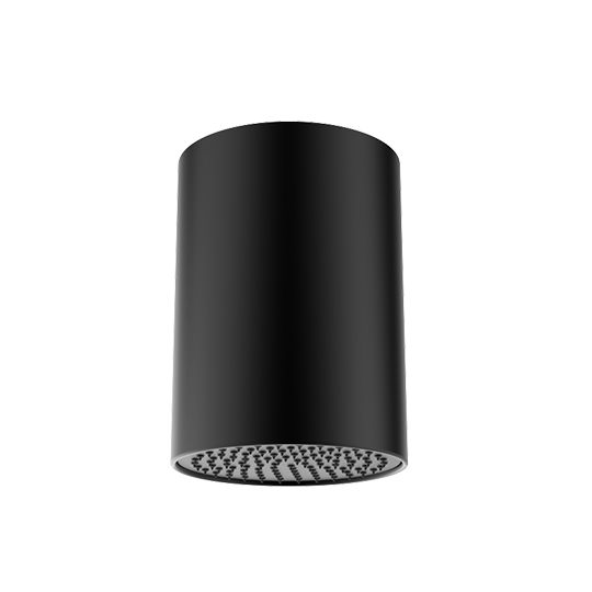 Tavana Monte Duş Başlığı 257mm